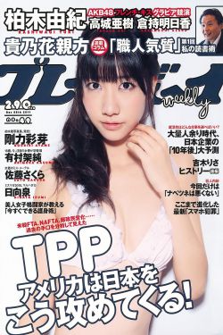 电视剧战旗全集播放